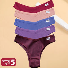 5PCS/Set Cotton Lingerie Panties Sexy
