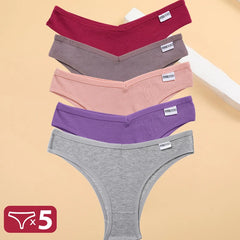 5PCS/Set Cotton Lingerie Panties Sexy